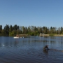 P1010152